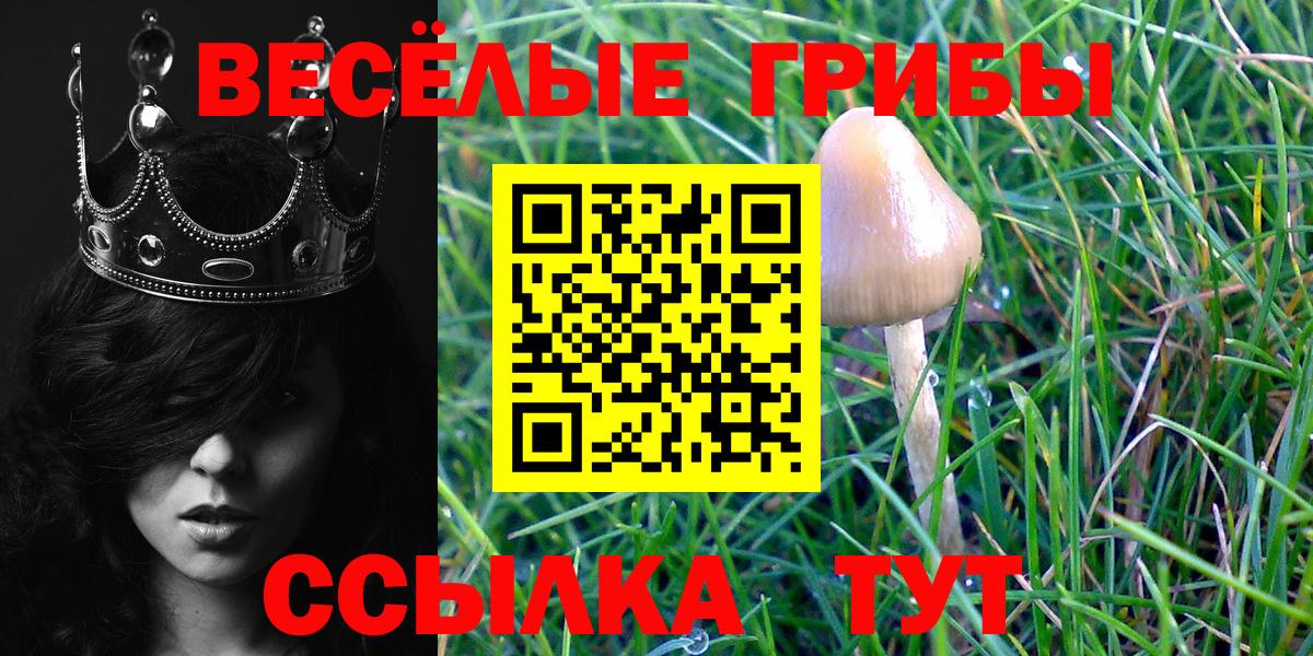 Галлюциногенные грибы прущие грибы Миллерово